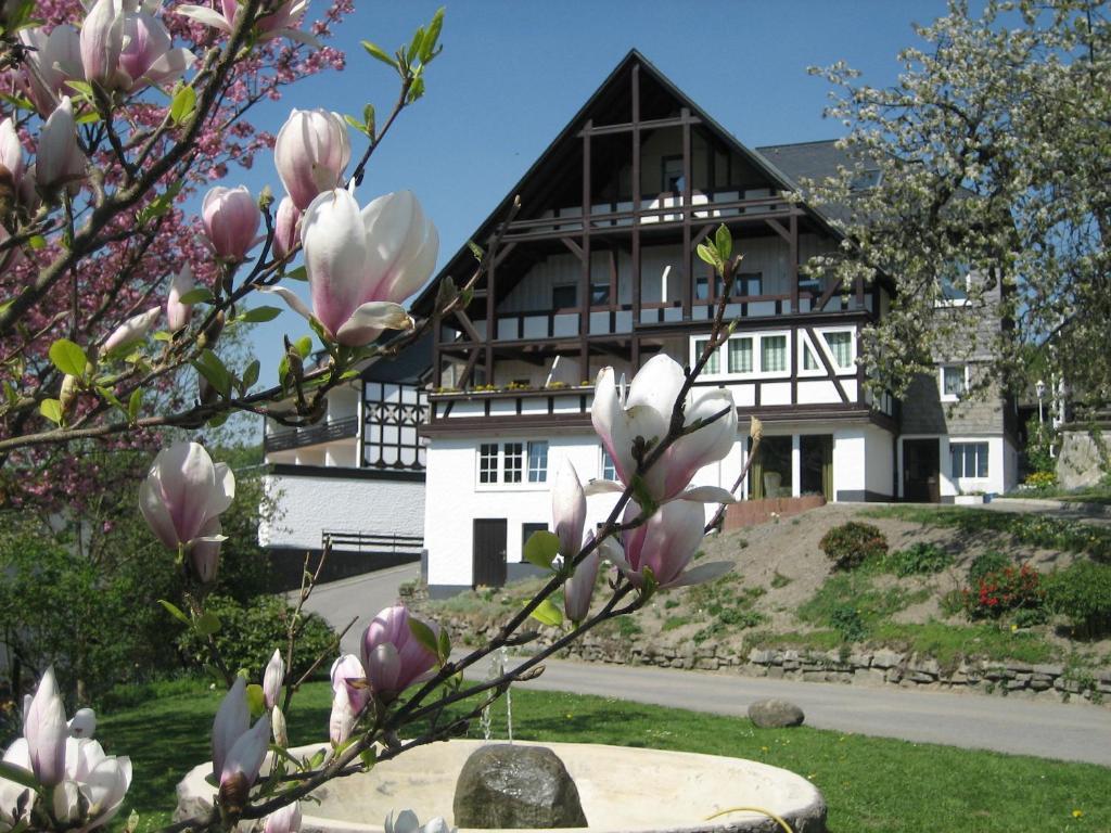 Ferienwohnungen Otto Schmallenberg Ngoại thất bức ảnh